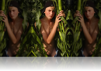 Monday, August 17th, 2009: Boris. On the cornfield Monday, August 17th: Boris. On the cornfield